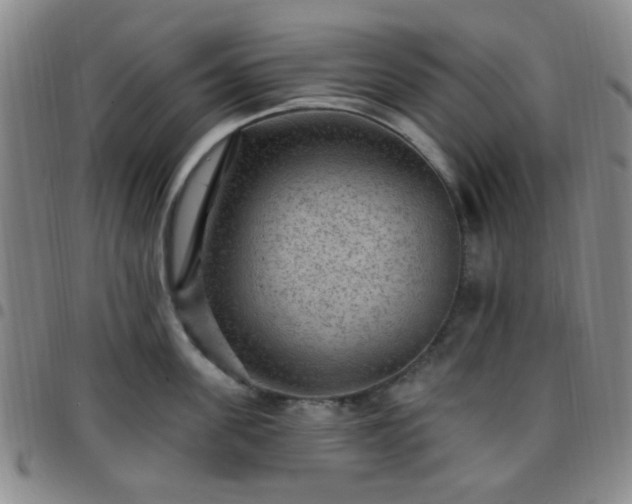 X0000097770955200803141742