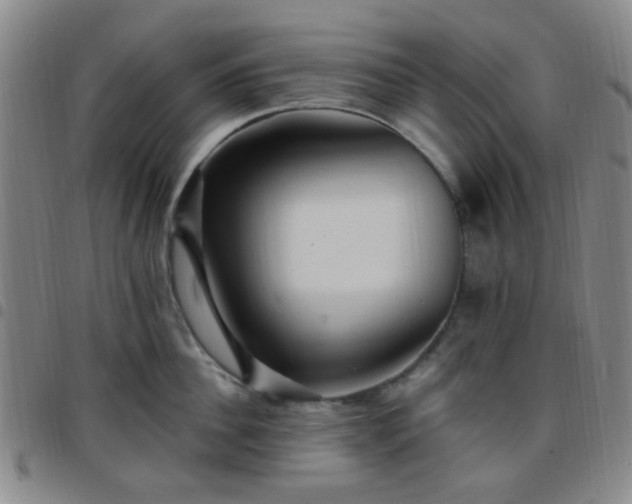 X0000097770956200803141742