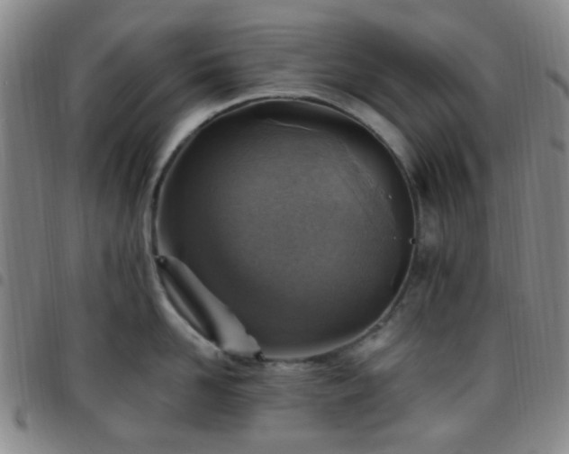 X0000097770958200803141742