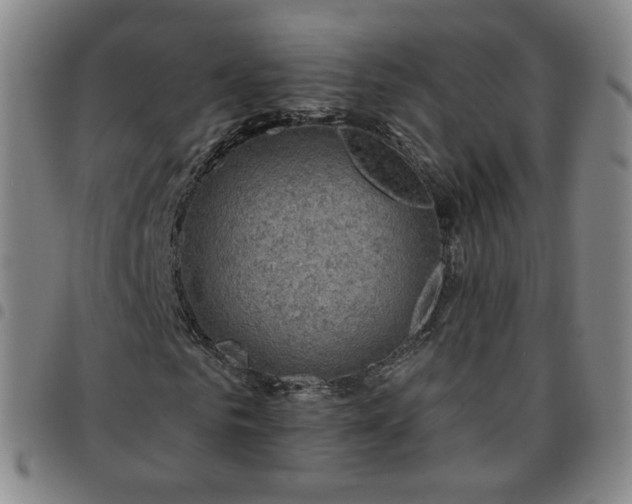 X0000097770961200803141741