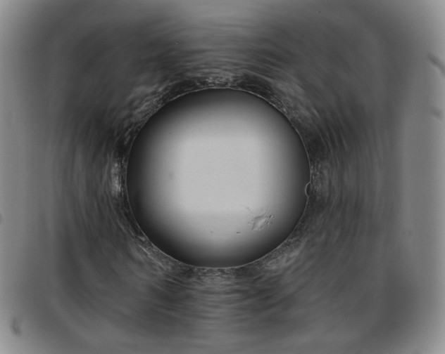 X0000097770962200803141741
