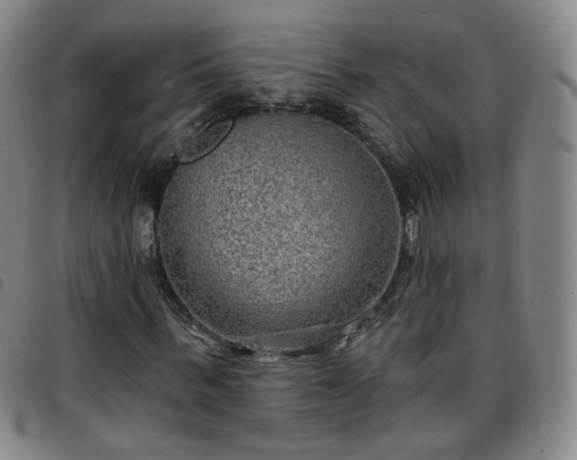 X0000097770963200803141741