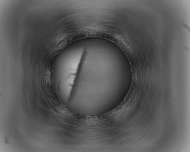 X0000097770964200803141741