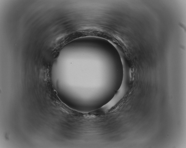 X0000097770965200803141741