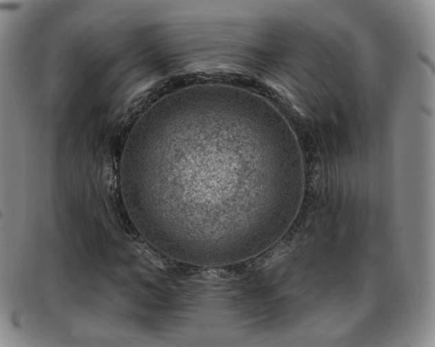 X0000097770966200803141741