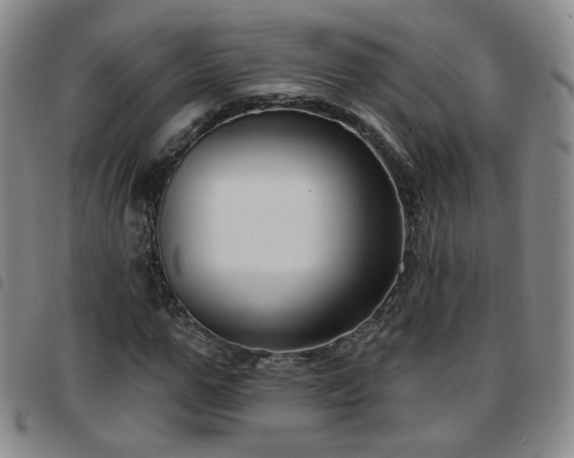 X0000097770967200803141741