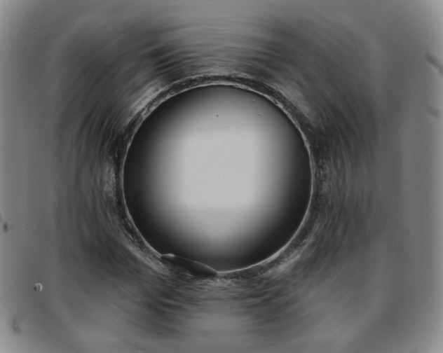 X0000097770969200803141741