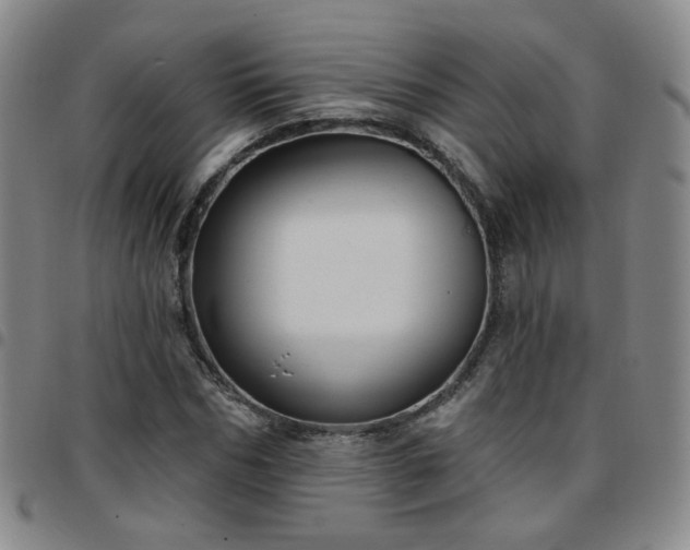 X0000097770970200803141741
