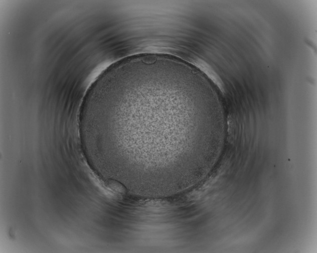 X0000097770972200803141741