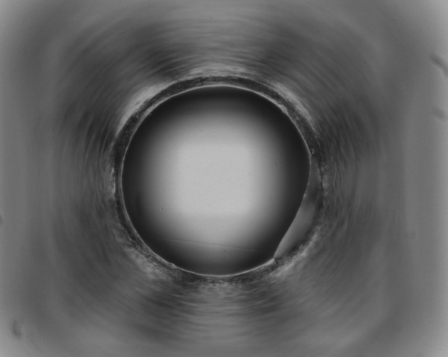 X0000097770973200803141741