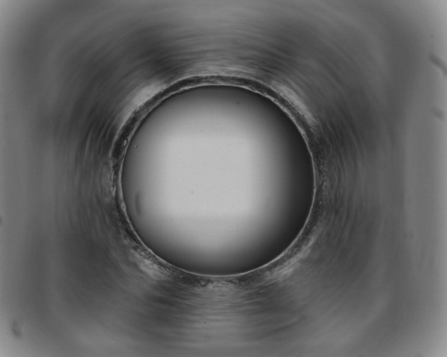 X0000097770974200803141741