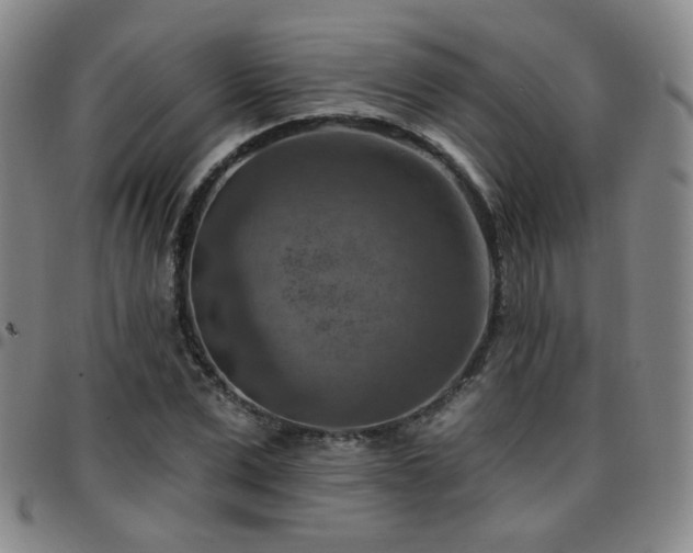 X0000097770975200803141741