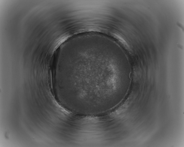 X0000097770977200803141741
