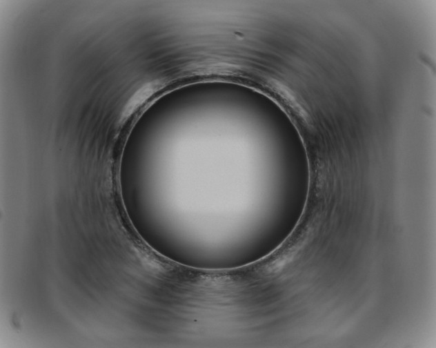 X0000097770978200803141741