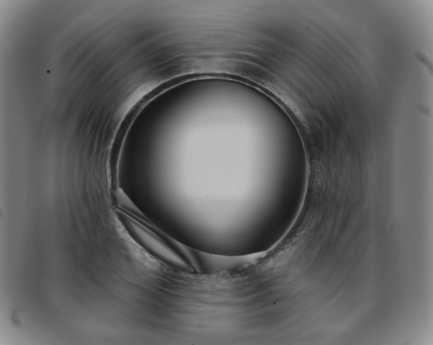 X0000097770980200803141741