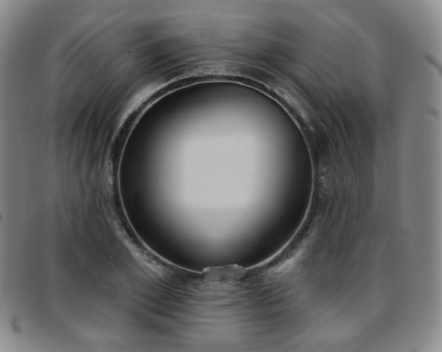 X0000097770981200803141741