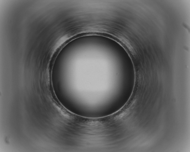 X0000097770982200803141741
