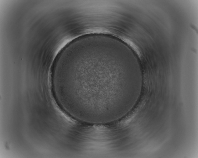 X0000097770983200803141741
