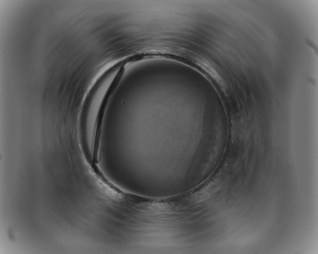 X0000097770984200803141741