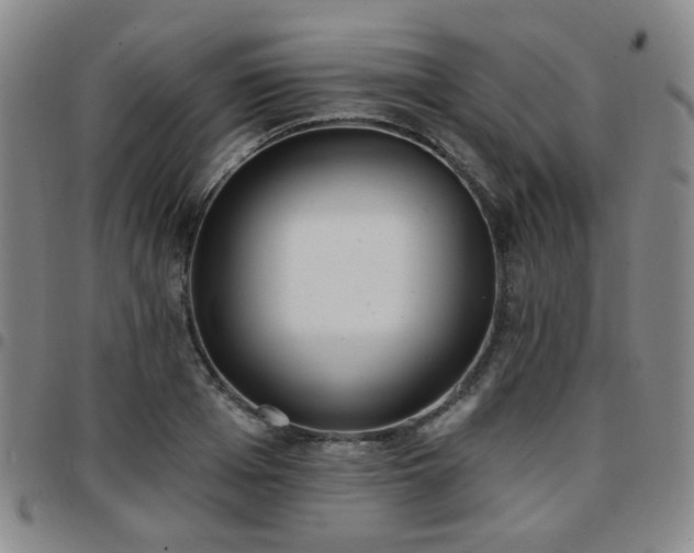 X0000097770985200803141741