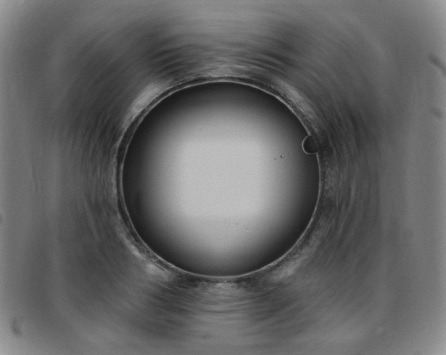 X0000097770986200803141741