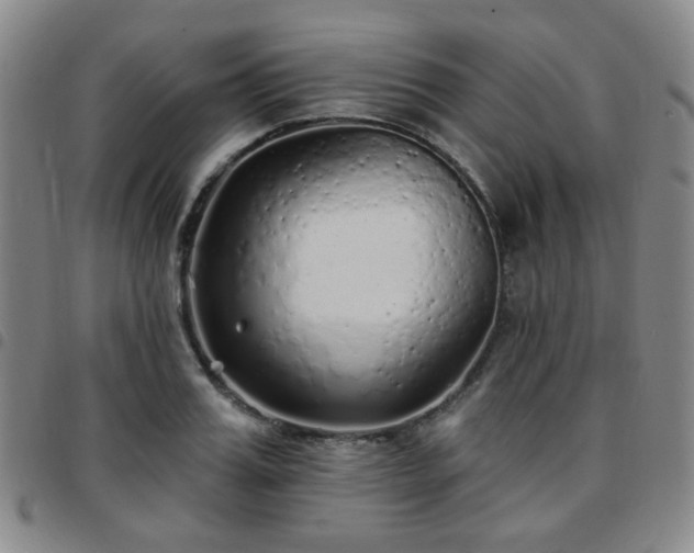 X0000097770987200803141741