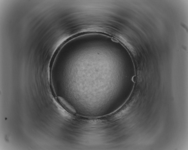 X0000097770988200803141741