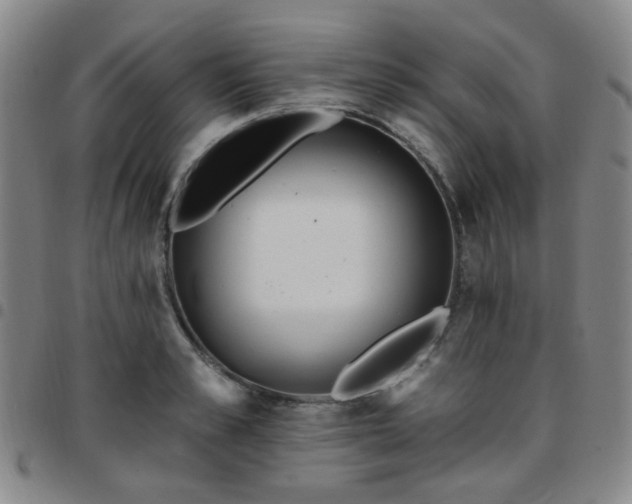 X0000097770989200803141741
