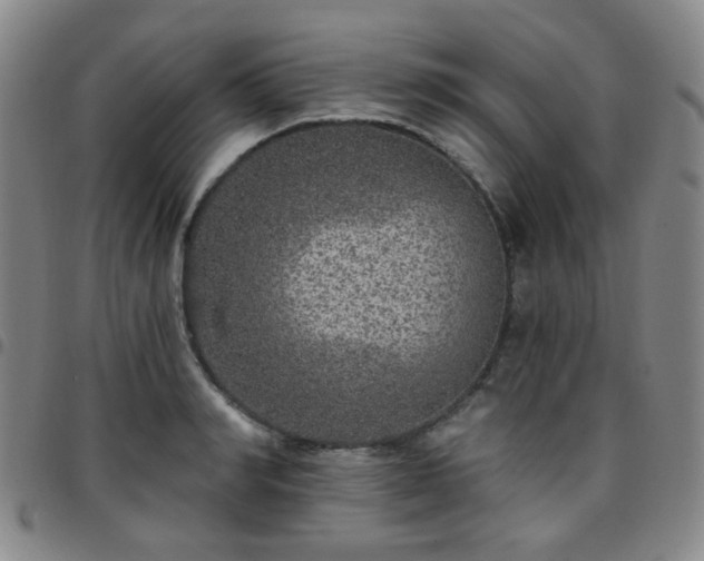X0000097770990200803141741