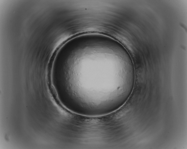 X0000097770991200803141741