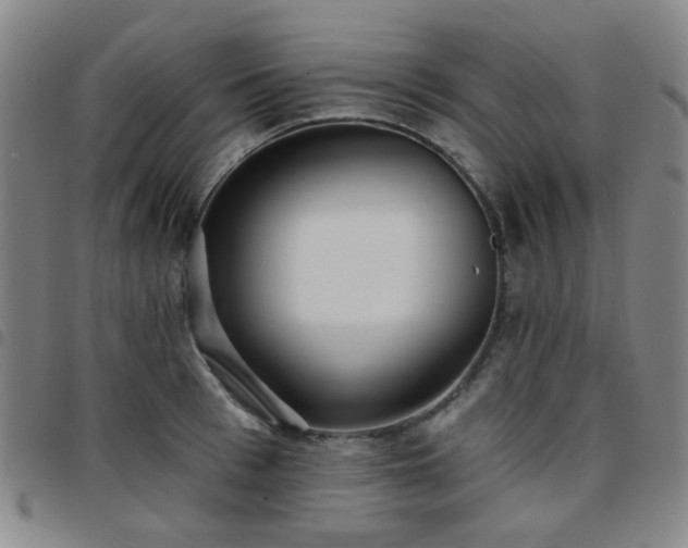 X0000097770993200803141741