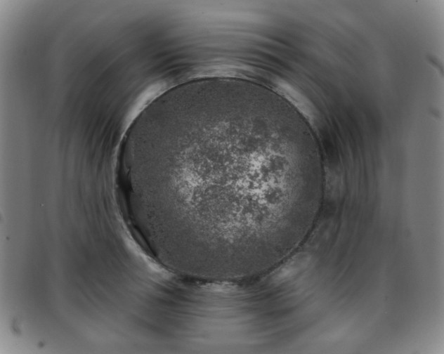 X0000097770994200803141741