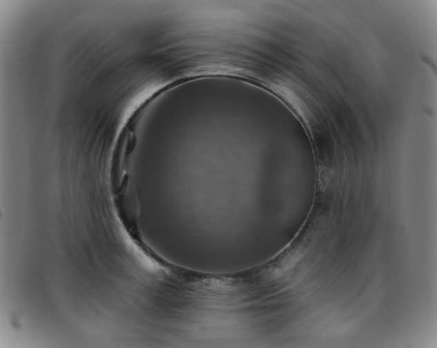 X0000097770995200803141741