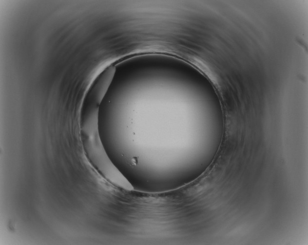 X0000097770996200803141741