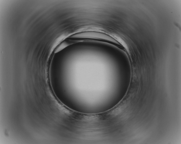 X0000097770997200803141741