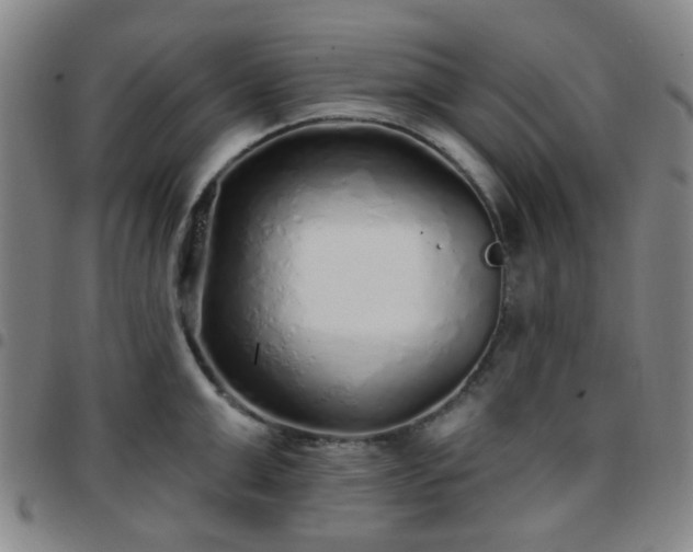 X0000097770999200803141741