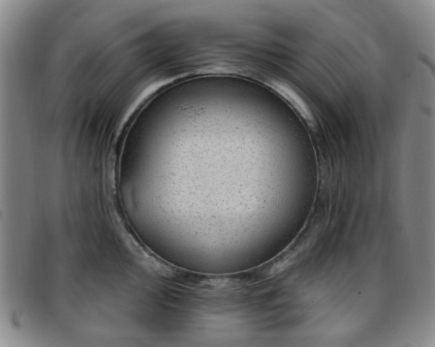 X0000097771000200803141741