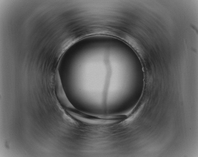 X0000097771001200803141741