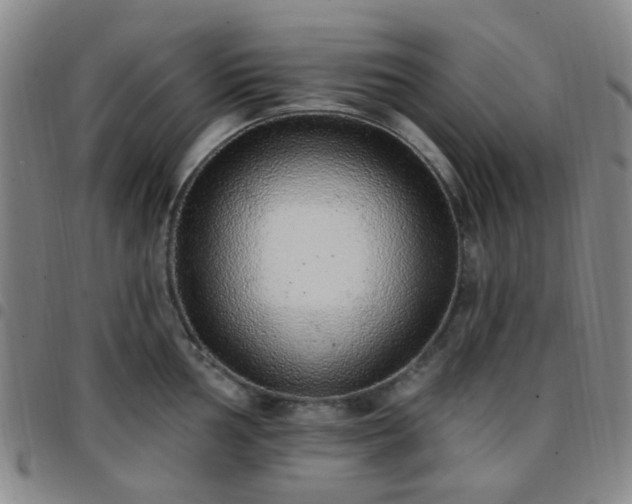 X0000097771002200803141741
