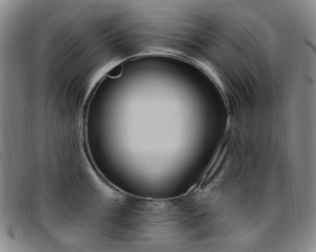 X0000097771003200803141741