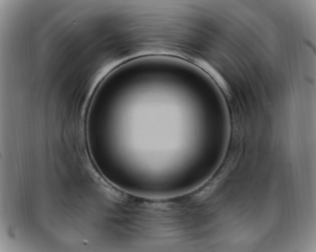 X0000097771004200803141741