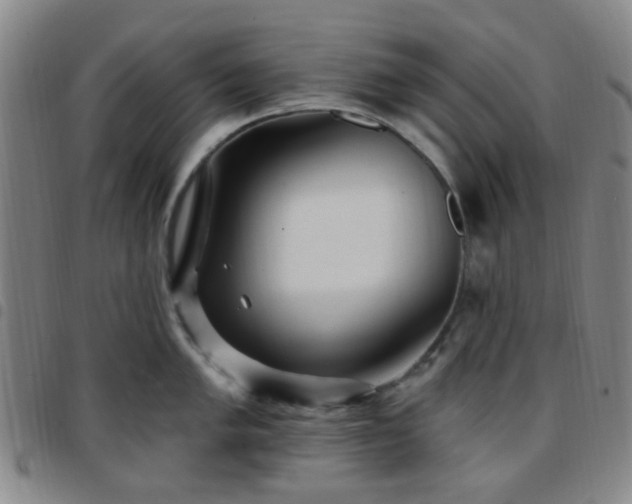X0000097771005200803141741