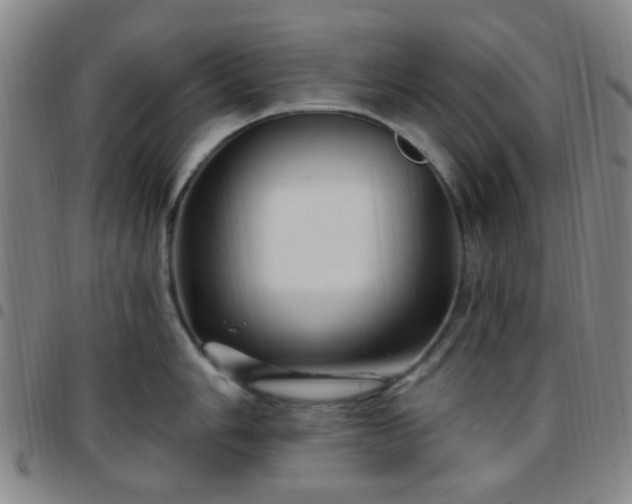 X0000097771006200803141741