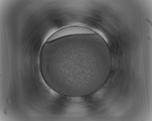 X0000097771007200803141741
