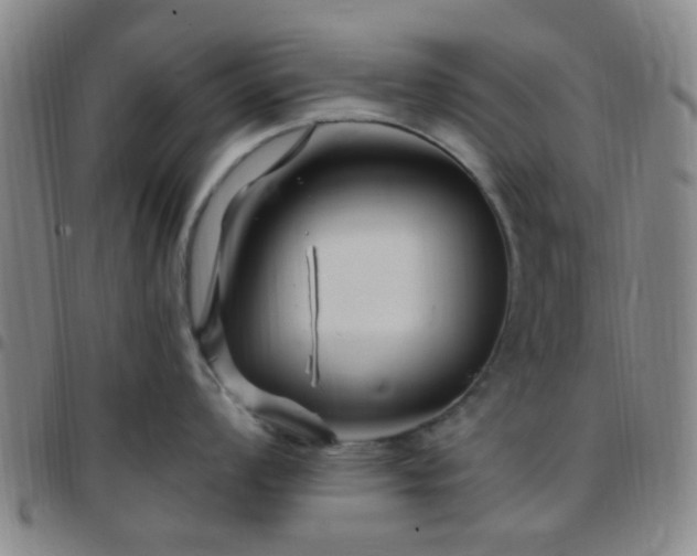 X0000097771008200803141741