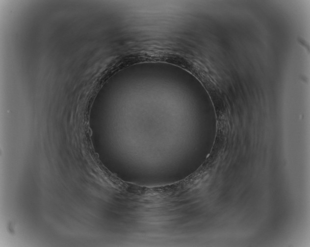 X0000097771009200803141740