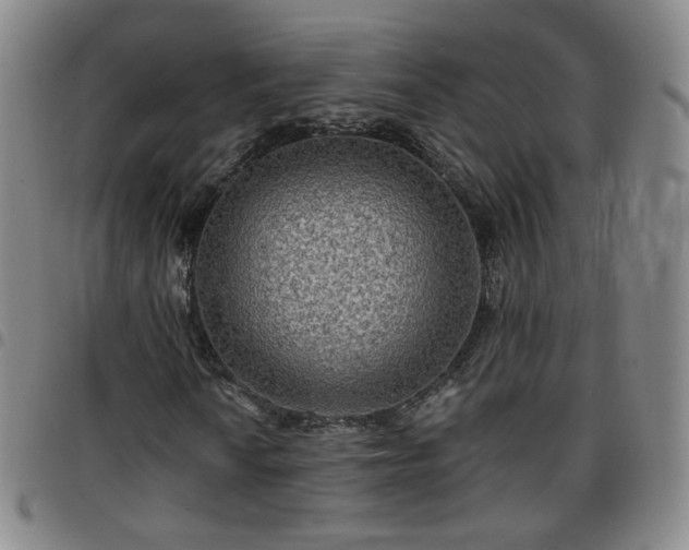 X0000097771010200803141740