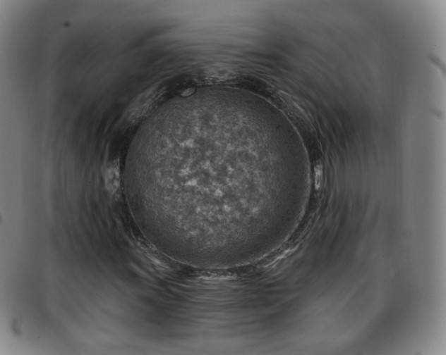 X0000097771011200803141740