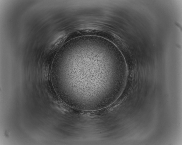 X0000097771014200803141740