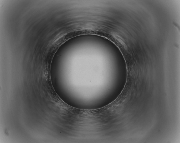 X0000097771015200803141740